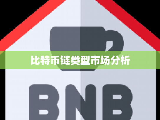 比特币链类型市场分析