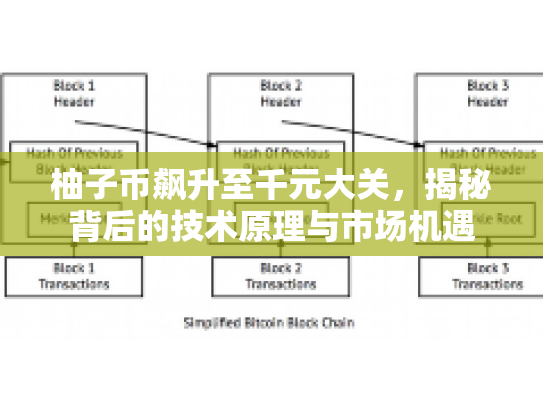 柚子币飙升至千元大关，揭秘背后的技术原理与市场机遇