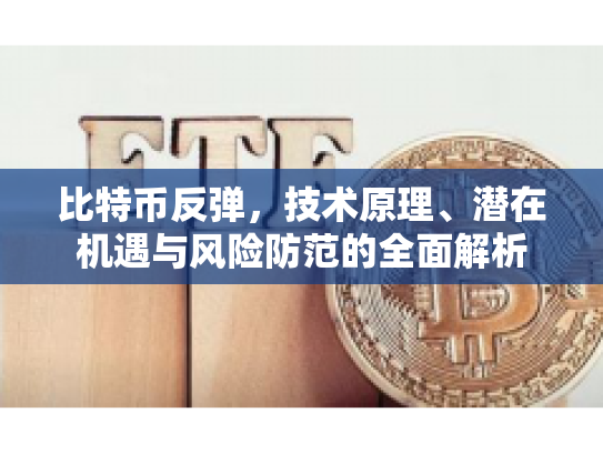 比特币反弹，技术原理、潜在机遇与风险防范的全面解析